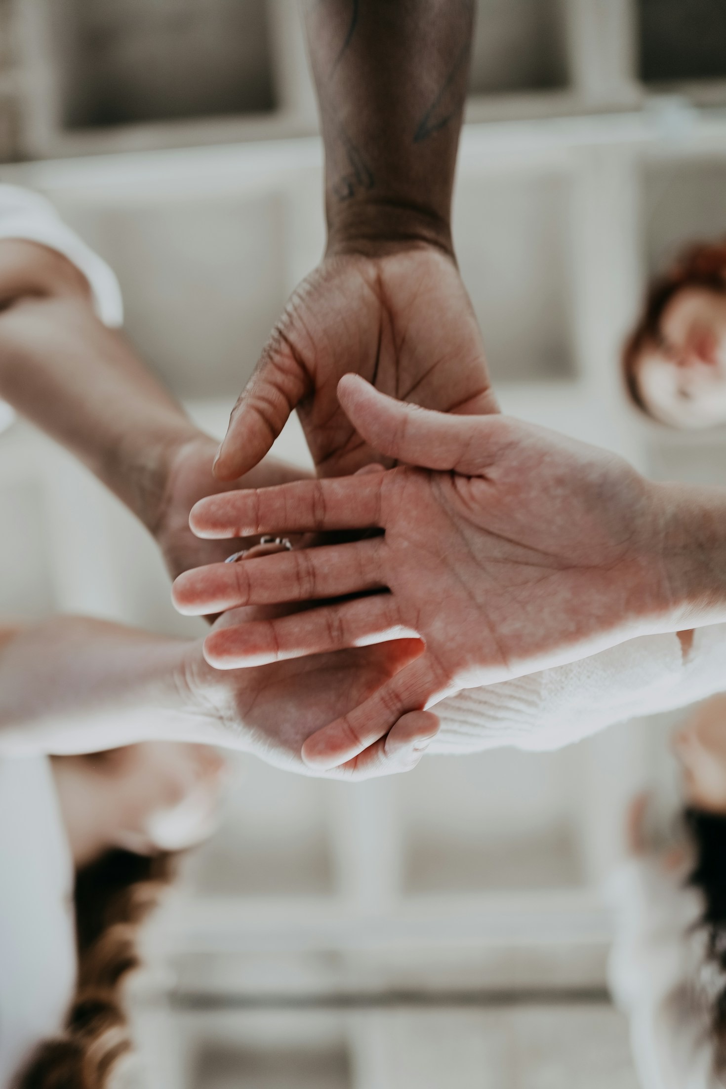 How Unity Drives Collective Success
