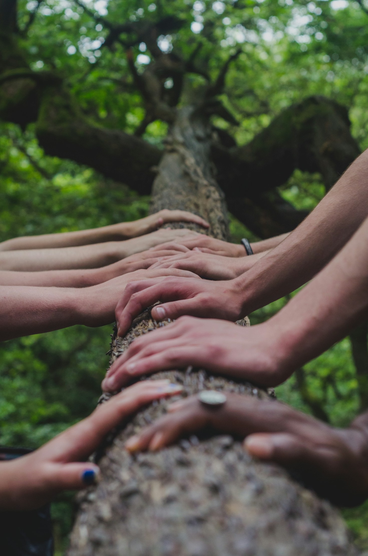 Building a Community of Shared Purpose